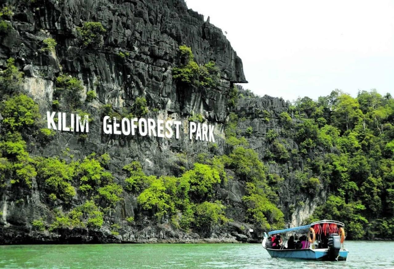 Jelajahi Ekosistem Bakau Langkawi yang Menakjubkan dengan Mangrove Tour